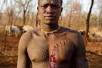 Young man from the Bodi Tribe with new scars on his chest. Omo Valley,  Ethiopia, March 2015..