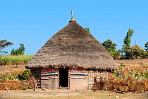 Oromo tribe hut with thatched roof and painting decorations on the outside wall. Oromia Region, Central Ethiopia, Africa, March 2009.