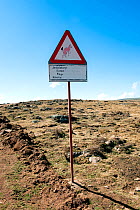 Ethiopian wolf (Canis simensis) road sign, Sanetti Plateau, Bale Mountains National Park, Oromia Region, Southeast Ethiopia, Africa, March.