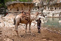 Oromo man bringing Dromedary camel (Camelus dromedarius) Web River (Weyib River) to drink, in Islams sacred valley - Sof Omar. Bale Province, Oromia Region, Ethiopia, Africa, March 2009.