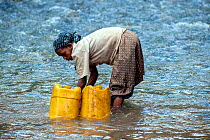 Oromo tribe girl filling her yellow water containers from the Web River (Weyib River) in Islams sacred valley - Sof Omar. Bale Province, Oromia Region, Ethiopia, Africa, March 2009