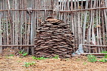 Pile of neatly stacked cow dung, drying to be used as  fuel, Ethiopia, Africa, March 2009.