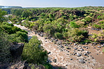 Awash river, Awash National Park, Afar Region, Great Rift Valley, Ethiopia, Africa, March 2009.