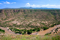 Awash river and gorge, Awash National Park, Afar Region, Great Rift Valley, Ethiopia, Africa, March 2009.