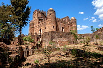 Fasilides Castle, ruined fortress city founded in the 17th century. Amhara National Regional State, North Gondar Administrative Zone, Ethiopia, Africa, March 2009