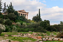 The Temple of Hephaestus surrounded by Cypress trees (Cupressus sempervirens), Olive trees (Olea europaea) and Prickly pears (Opuntia ficus-indica ). Attica region, Athens, Greece,  January 2011.