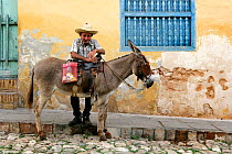 Old Cuban man standing by his domestic donkey and smoking a Cuban cigar in a typical cobblestone street with a house in pastel colors in the background, Trinidad, Sancti Spiritus Province, Cuba, Carib...