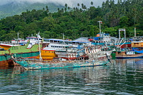 Old fishing boat abandoned and sinking among a cluster of boats confiscated by the Indonesian Port Police (mainly for illegal fishing without a proper licence). Port Police station, Bitung. Lembeh Str...