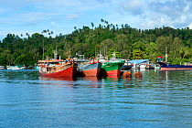 Three Indonesian fishing boats anchored side by side, close to the city of Bitung, Lembeh Strait, Molucca Sea Sulawesi, Indonesia, Indo-Pacific, March 2013