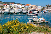 View of the old small harbor of the island of Spetses. On the right hand side there are a couple of Greek fishing boats called caique. But the majority of docking spots are occupied nowadays by luxury...