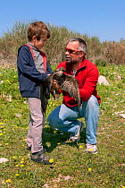 Founder and director of the Aegean Wildlife Hospital, Mr. Marios Fournaris, assisting a young volunteer at the hospital grounds to release an Eleonora's Falcon (Falco eleonorae) back into the wild.  T...