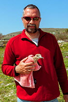 Founder and director of the Aegean Wildlife Hospital, Mr. Marios Fournari holding blind Eurasian stone curlew  (Burhinus oedicnemus). The bird was shot illegally, is blind and unable to feed. The Aege...
