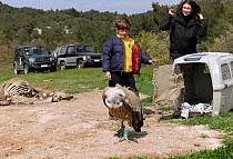 Young volunteer and woman with male Griffon vulture (Gyps fulvus fulvus) during release. This bird shot and subsequently treated at the Aegean Wildlife Hospital, and released by WWF Greece.  Dadia Nat...