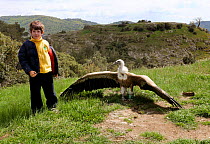 Young volunteer with male Griffon vulture (Gyps fulvus fulvus) during release. This bird was shot and subsequently treated at the Aegean Wildlife Hospital, and released by WWF Greece.  Dadia National...
