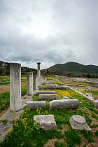 Ruins at the Agora,  Messene, Peloponese, Greece, Mediterranean, March 2015