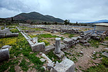 Ruins at the Agora at Messene, Peloponese, Greece,  March 2015