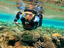 Young boy snorkelling over hard corals (reef-building corals) Sharm el Sheikh, Red Sea, Egypt, October 2010. Model released