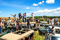 Congestion of tourist safari cars, at crossing spots along the Mara River during the great migration season.  Masai Mara National Reserve, Kenya, Africa, August 2012.
