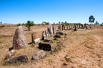 Megalith stelae field, Tiya archaeological site UNESCO World Heritage Site, Soddo Region, Ethiopia. February 2009.