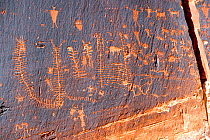 Petroglyphs in sandstone cliff, from the Formative period (between 1000 BC and 500 AD) Moab Area, Colorado, USA. September 2013.