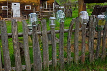 Fence post with glass jars on fence outside house, Musteika Village, Lithuania, May 2015.
