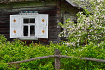 House in Musteika Village, Lithuania, May 2015.