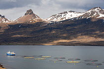 Fish farming in an Icelandic fjord, Iceland, May 2007.