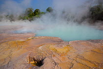 Silicate geothermal terrace, Bukit Barisan National Park, Sumatra, Indonesia. July.