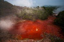 Iron rich geothermal mineral spring, Bukit Barisan National Park, Sumatra, Indonesia.