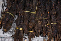 Smoked rats on skewers for sale in market for food.Apatani Tribe, Ziro Valley, Himalayan Foothills, Arunachal Pradesh, North East India, November 2014.