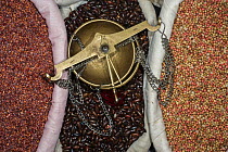Beans for sale in market, Upper Subansiri District. Arunachal Pradesh, North East India, November 2014.