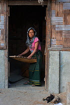 Apatani winnowing rice using Yapyo made of bamboo, Apatani Tribe, Ziro Valley, Himalayan Foothills, Arunachal Pradesh.North East India, November 2014.