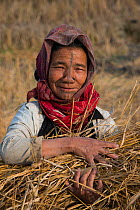 Apatani woman in fields. The woman has facial tattoos and traditional nose plugs / Yapin Hulo made of a cane slice. This was to make her look unattractive to males from other tribes. These facial modi...