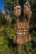 Apatani sacrificial area used for ceremonies or by a shaman, Apatani Tribe, Ziro Valley, Himalayan Foothills, Arunachal Pradesh, North East India, November 2014.