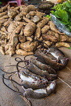 Rats for sale in market for food, Apatani Tribe, Ziro Valley, Himalayan Foothills, Arunachal Pradesh, North East India, November 2014.