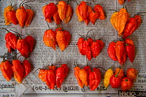 Chilli peppers in market, Upper Subansiri District, Arunachal Pradesh, North East India, November 2014.