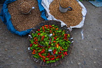 Chilli peppers for sale in market, Upper Subansiri District, Arunachal Pradesh, North East India, November 2014.
