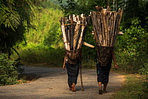 Adi Gallong women carrying wood, Adi Gallong Tribe, Arunachal Pradesh, North East India, November 2014.