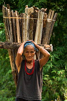 Adi Gallong woman carrying wood, Adi Gallong Tribe, Arunachal Pradesh, North East India, November 2014.
