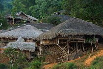 Adi Gallong pole houses, Jamlouvari Village, Adi Gallong Tribe, Arunachal Pradesh, North East India, November 2014.
