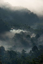 Low cloud over forests on the Naga Hills, Nagaland,  North East India, October 2014.
