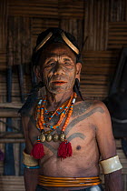 Konyak Naga tattooed chief head hunter with traditional ornamentation of Elephant ivory arm bands and Hornbill headdress. Only someone who has killed and taken a human head can be tattooed in this man...