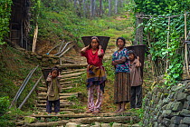 Konyak Naga woman and children carrying rice baskets. Mon district. Nagaland,  North East India, October 2014.