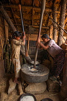 Konyak Naga woman and daughter pounding rice, Mon district. Nagaland, North East India, October 2014.