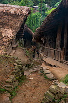 Konyak Naga Mongnyakshu Village, Mon district.Nagaland,  North East India, October 2014.
