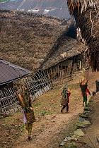 Konyak Naga Mongnyakshu Village, .Mon district.Nagaland,  North East India, October 2014.