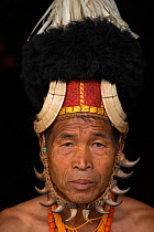 Chang Naga man in festival dress with tiger claws (Panthera tigris) around his face, Hornbill (Bucerotidae) feathers on hat, and Wild boar (Sus scrofa) tusks on headdress, Tuensang district. Nagaland,...