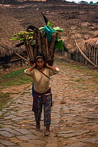 Chang Naga woman carrying firewood,  Tuensang district. Nagaland, North East India, October 2014.