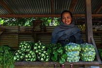 Rural vegetable market. Nagaland, North East India, October 2014.