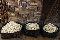 Tapioca stoed in baskets, Naga Tribel house, Nagaland, North East India, October 2014.